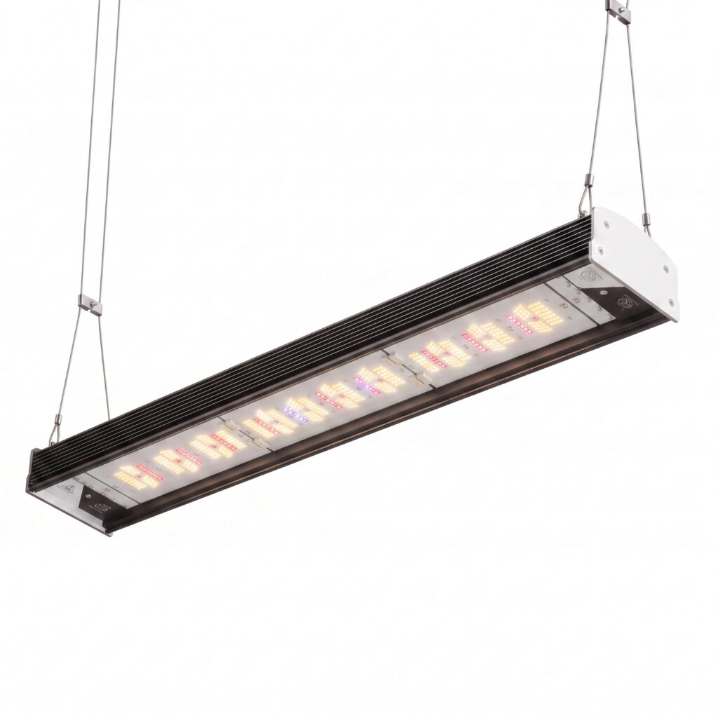 Smart Grow Light 650W